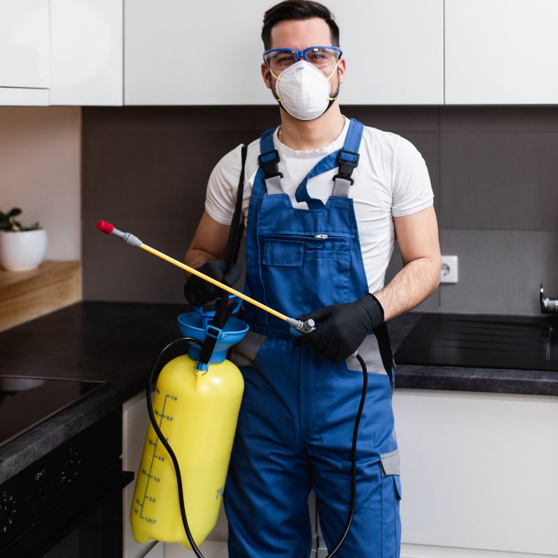 pest control delhi