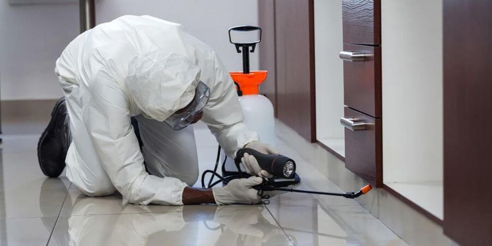 pest control Noida