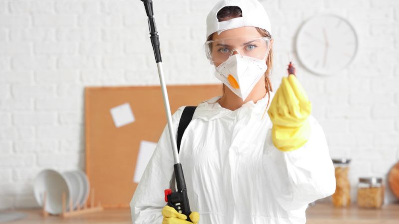 pest control Laxmi Nagar